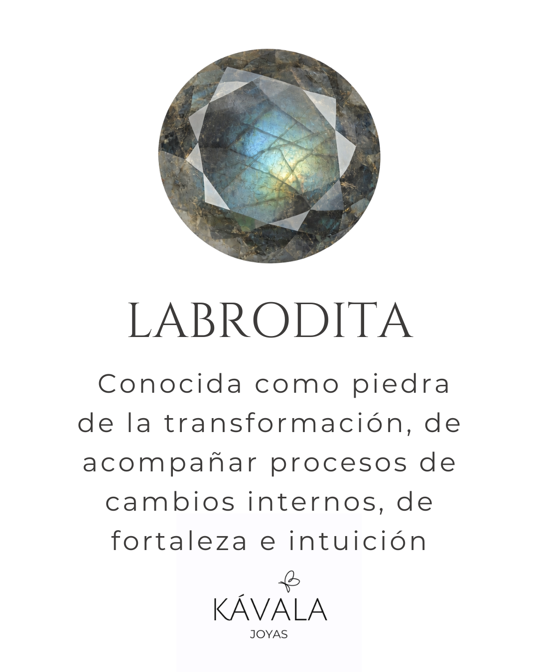 AROS JAZMÍN LABRODITA